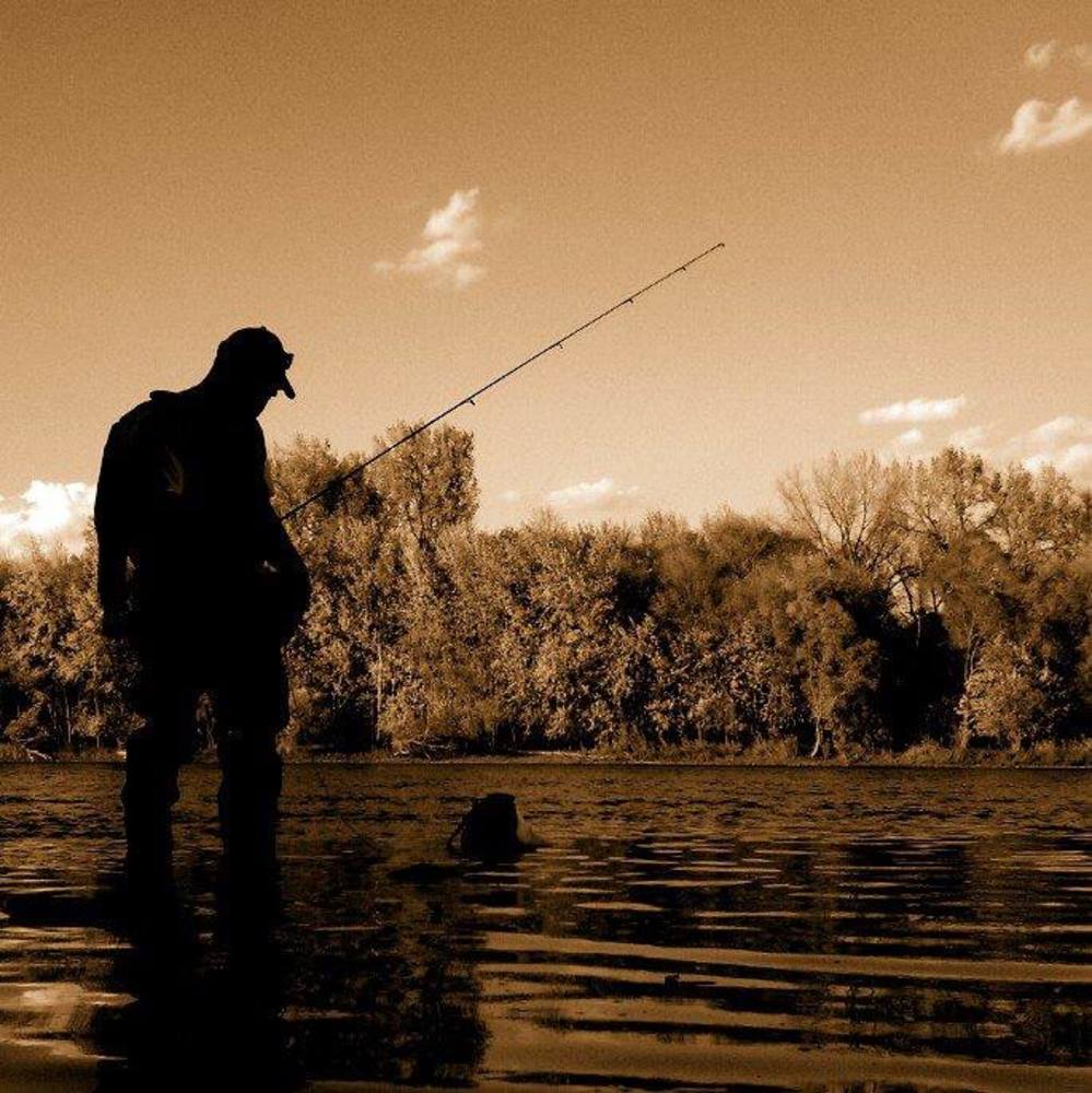 Meet your Posher, Steven